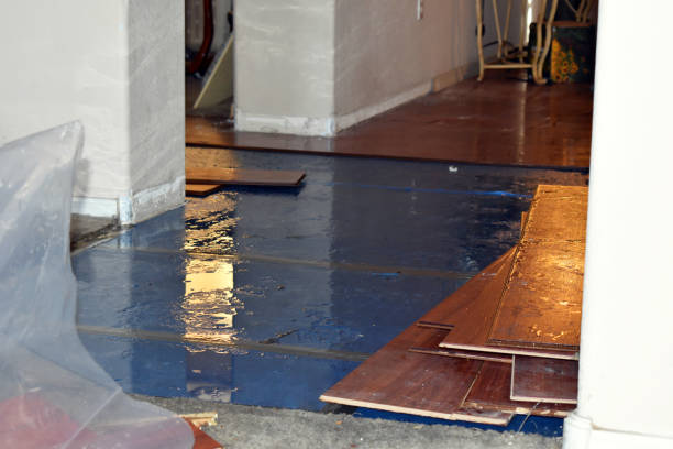 Professional Basement Flood Cleanup technician working in Forestville, OH
