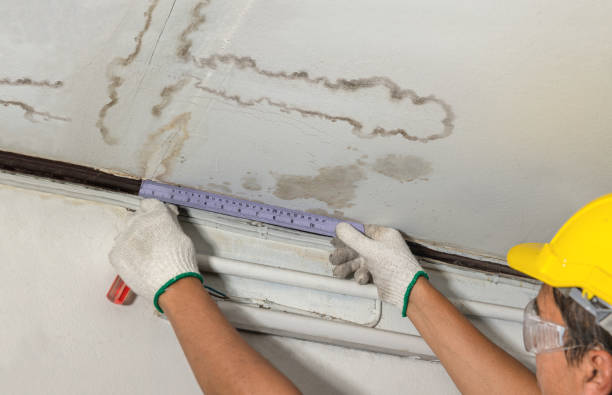 Reliable Basement Flood Cleanup contractor in Forestville, OH by Aqua Guard Water Damage